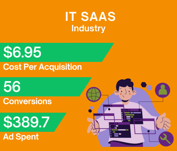 LinkedIn Ads case study showing B2B SaaS lead generation and low cost per conversion results